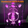 Personalized Illuminated Light Custom Acrylic Photo Plaque with Cartoon Animal Design-Memorial Award Plaque MegaBDM