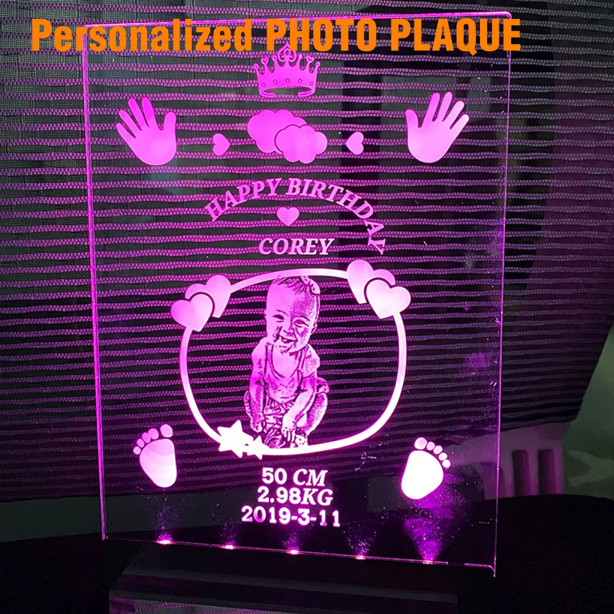 Personalized Illuminated Light Custom Acrylic Photo Plaque with Cartoon Animal Design-Memorial Award Plaque MegaBDM