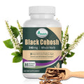 Hot Sale Black Cohosh CapsulesBlack Cohosh Supplements for Women Menopause