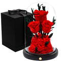 Preserved Rose Glass Dome Eternal Flower Romantic Gift Home Decoration Valentine Mother's Day Birthday OEM ODM Custom Supplier MegaBDM