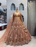 Premium Soft Net Lehenga Choli Set with Coding Sequins Work Semi Stitched 4 Meter Flare Lehenga and Matching Dupatta MegaBDM