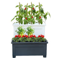 YIZHITANG Outdoor Home Decorative Flower Planter Pot Agricultural Greenhouses & Pergola Garden Supplies