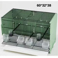 New Style Pigeon Cage Spire Shaped Portable Large Parrot Breeding Cage Jaulas Para Pajaros Transparente Pet House Bird Cage MegaBDM