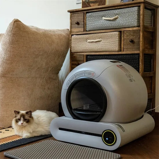 Unique New Color Self-Cleaning Cat Litter Box Classic Design Source Factory Smart Toilet