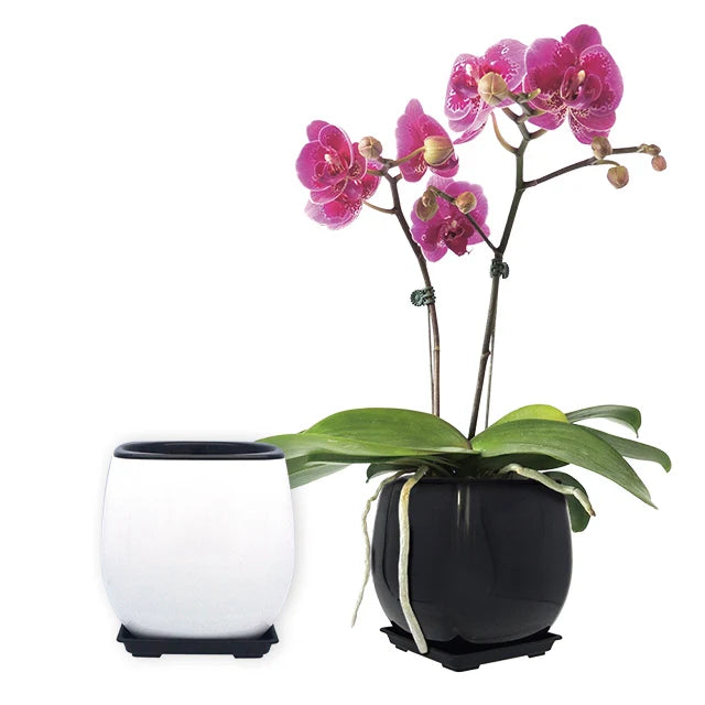 Aiermei L-175 Japanese Zen Style ABS/PP Lightweight Durable Flower Arrangement Pots for Home & Garden Decoration