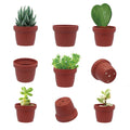 Mini Ceramic Cement Decorated Succulent Flower Pots for Home and Garden Decoration