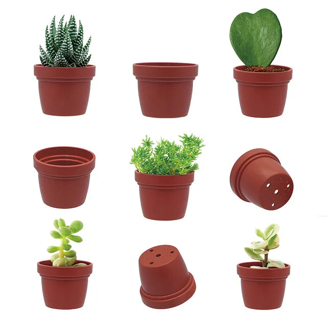 Mini Ceramic Cement Decorated Succulent Flower Pots for Home and Garden Decoration