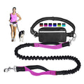 Big Chain Collar Silicone airtag Pet Recycled Rope Leads Wholesale Leather Collars Bamboo Hemp Leash Dog Harness with Bow