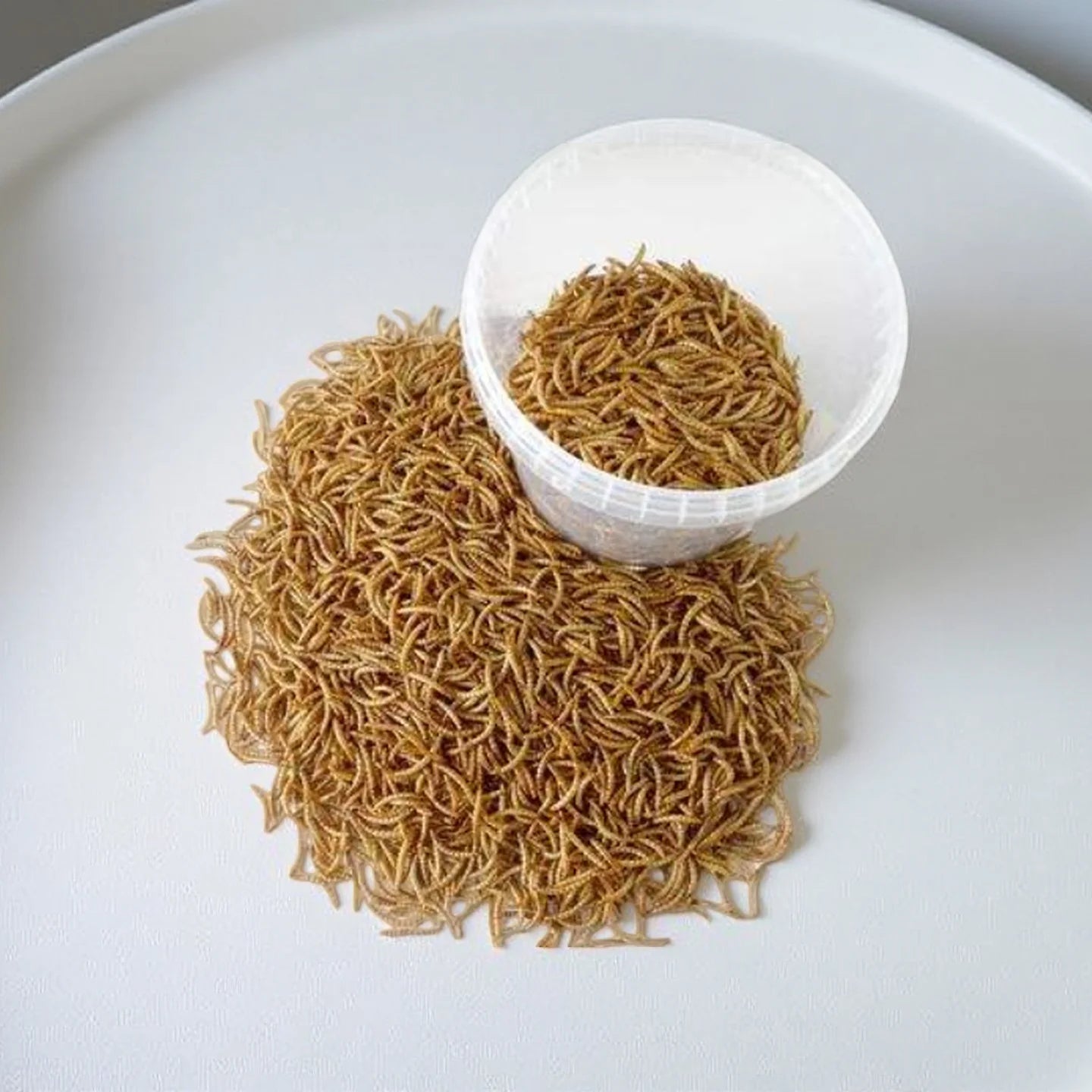 Dried Meal Worm Mealworms Mealworms 100% Non GMO Natural Dried Mealworms for Chickens Wild Birds