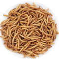 Functionality Natural Dried Mealworms Special Animal Feed for Bird