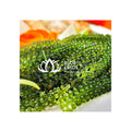 Dry Seaweed Dehydrate Seagrape Caulerpa Lentillifera Dried Sea Grape Vietnam Sea Moss Hot Selling // Contact +84 979 051 378