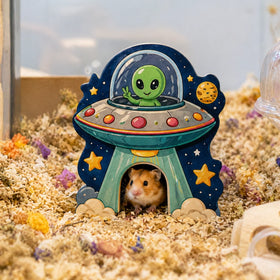 Original Space-themed Eco-friendly Solid Wood Large Multi-functional Hamster Hide