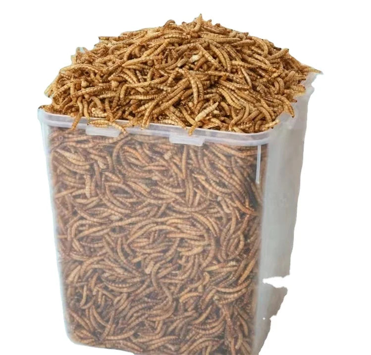 Custom-packaged Organic 54% High Protein Meat Dried Insect Mealworms Functional Bird Treats