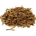 Microwaved Dried Mealworm Bird Food Pets Food Animal Food
