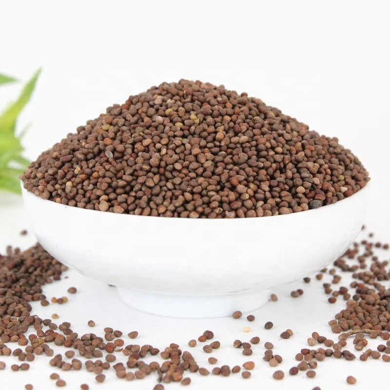 2127 Zi Su Zi GMP Manufacturer Supply Perilla Frutescens