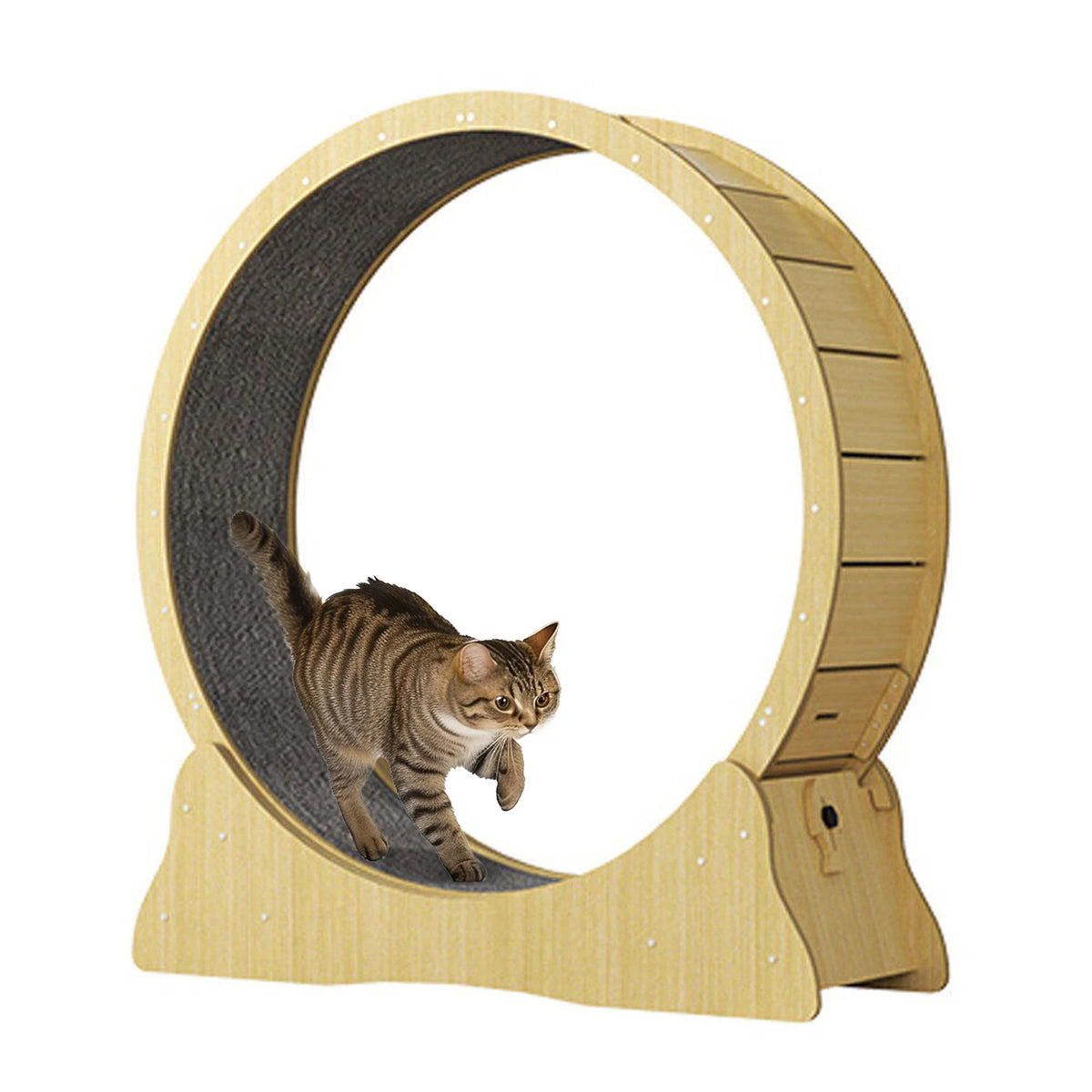 Circle Household Interactive Pet Tread Running Exercise Wheel Cat Climbing Frame Fiberboard Cat Treadmill MegaBDM