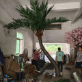 High Simulation Anti-Aging Artificial Coconut Palm Trees Factory Handmade for Outdoor Decor Typical Style Coconuts