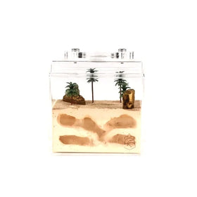 Ant Empire Underground Egypt Eco-Friendly Durable One-piece Medium Acrylic Transparent Cute Classic All Seasons Ant Nest House