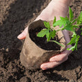 Disposable Paper Pulp CultIvation Cups Biodegradable Seedling Nursery Flower Pot Garden Germinative Cup MegaBDM