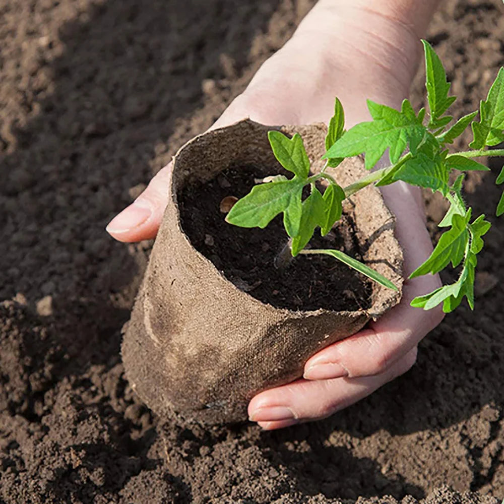 Disposable Paper Pulp CultIvation Cups Biodegradable Seedling Nursery Flower Pot Garden Germinative Cup MegaBDM