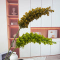 Yuanbao Leaf Home Decoration Flower Stick Hedyasrum Scoparium