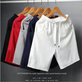 OEM Men Summer Beach Shorts Casual Running Sports Shorts Lightweight Straight Fit Quick Dry Five Point Shorts for Men Streetwear MegaBDM