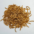 54% High Protein Yellow Mealworm Powder Digestive Health Functional Pet Food for Birds Feed Additive MegaBDM
