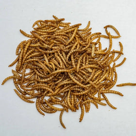 54% High Protein Yellow Mealworm Powder Digestive Health Functional Pet Food for Birds Feed Additive