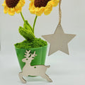 High Quality Customized Wooden Crafts Christmas Ornaments for Kids' Home Hanging Festival Decoration