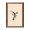 Hummingbird Sketch Vintage Printable Wall Art Spring Decor Farmhouse Wall Art Minimalistic Print