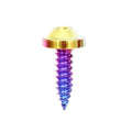 M4/M5/M6 Titanium Self-drilling Screw Disc Head Big Head Coated Customized Colors Class 10/10.9 Thread Size Motorcycle