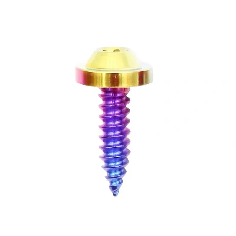 M4/M5/M6 Titanium Self-drilling Screw Disc Head Big Head Coated Customized Colors Class 10/10.9 Thread Size Motorcycle