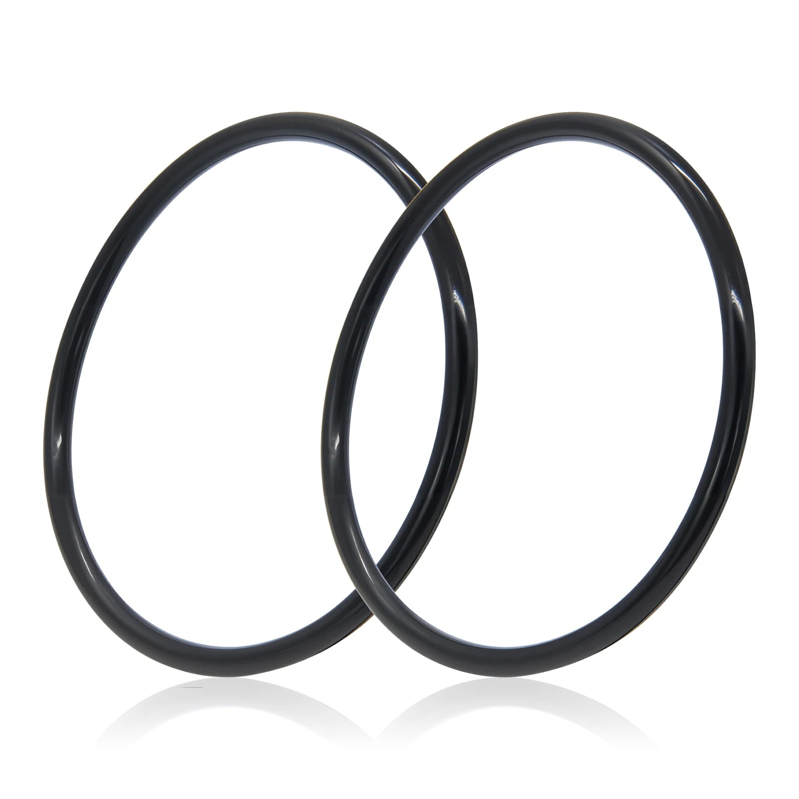 R172009 O-283 O-Ring (2-Pack) for Pentair Rainbow 300/320 Chlorinator Lid Seal Replacement Pool & Spa Chlorinator Parts