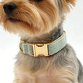 High Quality Luxury Corduroy Dog Collar with Leash Bow Comfortable Harness Sets Accessories in Stock Factory Directly Wholesale MegaBDM