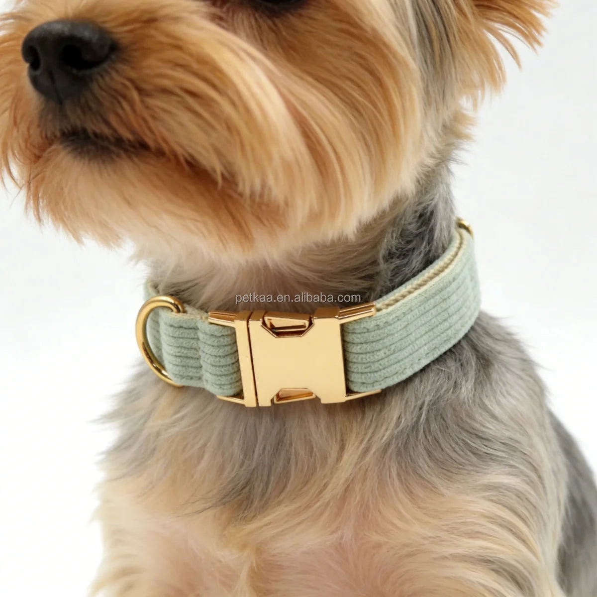 High Quality Luxury Corduroy Dog Collar with Leash Bow Comfortable Harness Sets Accessories in Stock Factory Directly Wholesale MegaBDM