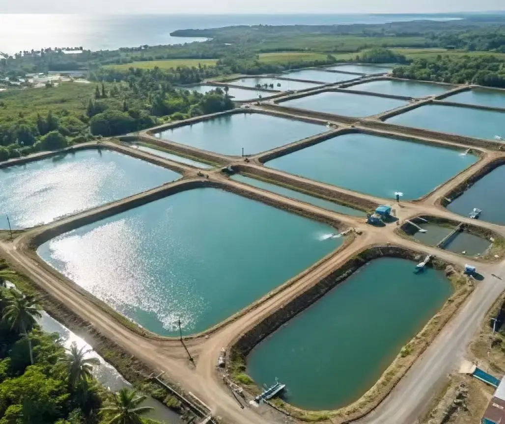 Geomembrane 0.5mm 1.0mm 1.5mm 2mm HDPE Geomembranes for Artificial Lake Liner Fish Farm Pond Liner Dam Liner 45mil Geo Membrane