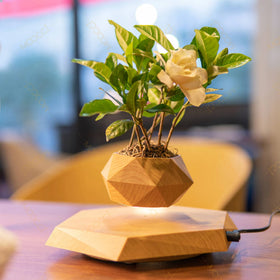 Modern Simple Indoor Decor Rotation Magnetic Levitation Floating Flower Pot Best Gift Lovers Wedding Anniversary Smart Planters