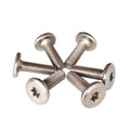 Supplier Customized Hardware Carbon Steel Stainless Steel Nickel Flat Torx Head Chicago Bolt for Furniture