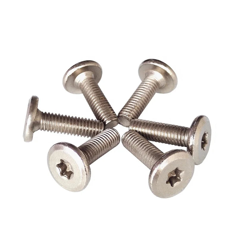 Supplier Customized Hardware Carbon Steel Stainless Steel Nickel Flat Torx Head Chicago Bolt for Furniture
