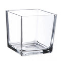 Classic 10*10cm Clear Glass Cube Vase Square Glass Terrarium for Tabletop Decoration