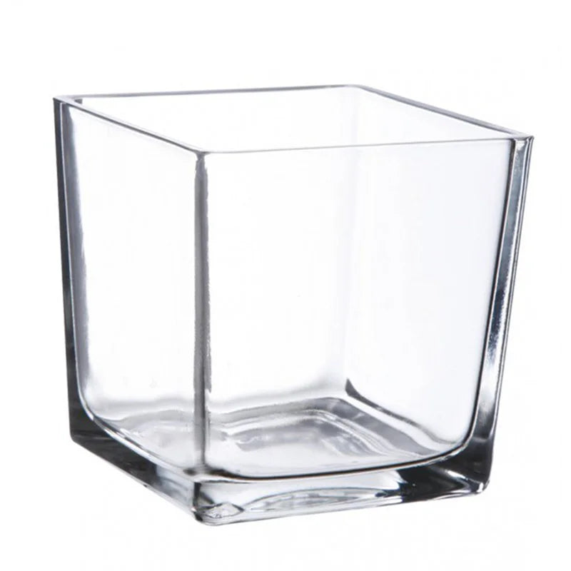 Classic 10*10cm Clear Glass Cube Vase Square Glass Terrarium for Tabletop Decoration