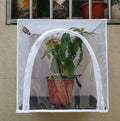 Manufacturer Self-developed Self-made Wall-mounted butterfly Insect Cage Mesh Breeding Cage MegaBDM