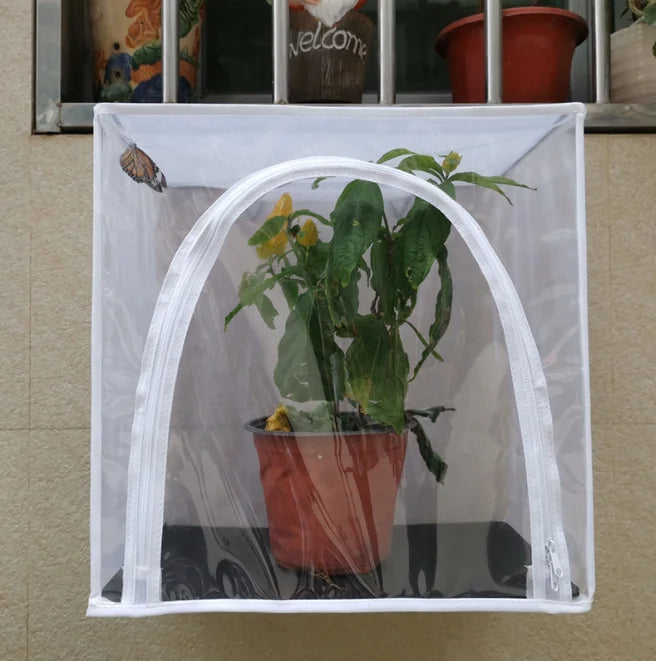 Manufacturer Self-developed Self-made Wall-mounted butterfly Insect Cage Mesh Breeding Cage MegaBDM