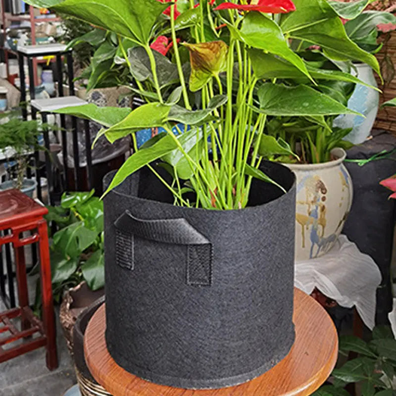 2024 Planting Vegetable Sustainable Nursery Strawberry Garden 5 Fabric 30 Felt 100 Gallon Grow Bags