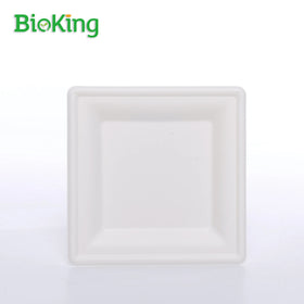 Bioking Biodegradable and Compostable Sugarcane Bagasse Disposable Dinner Compartment Plates Disposable Finger Dishes
