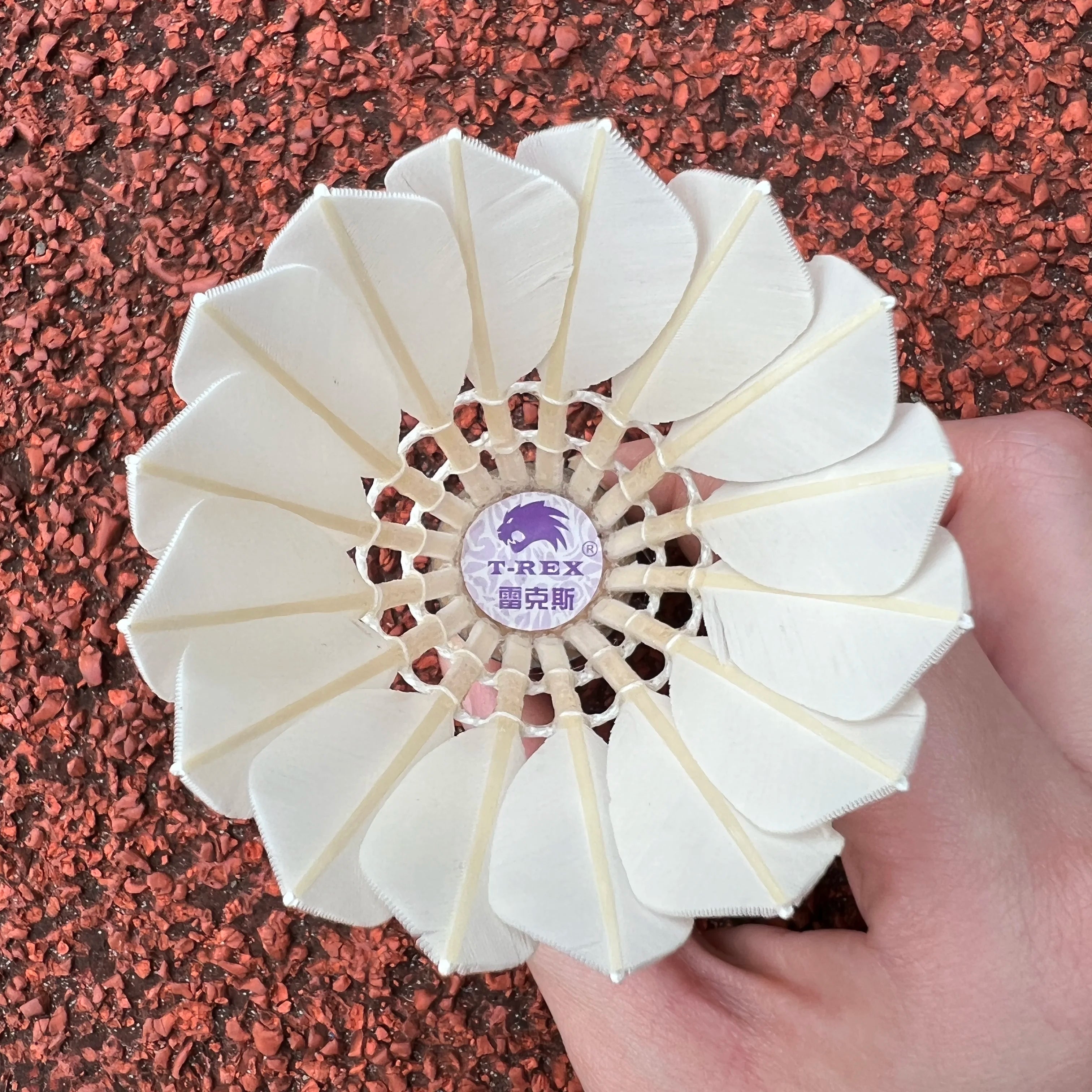 Libotai Tournament Level White Shuttlecock with Class a Duck Feather 2 Layer Cork Head 4.9g Speed 74-79 Model CG-A2 Custom Logo