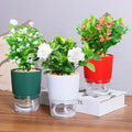 2024 Small Garden Indoor Nursery Black Transparent Rose Artificial Mini Plastic Holder Plant Pots Flower