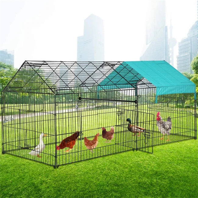 Chicken Coop for up to 50 Chickens Iron Walk-In Design with Button Closure MegaBDM