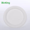 BioKing Hot Selling Sugarcane Bagasse Plate Equipment Custom Disposable Tableware Different Shapes for Food Packaging Camping