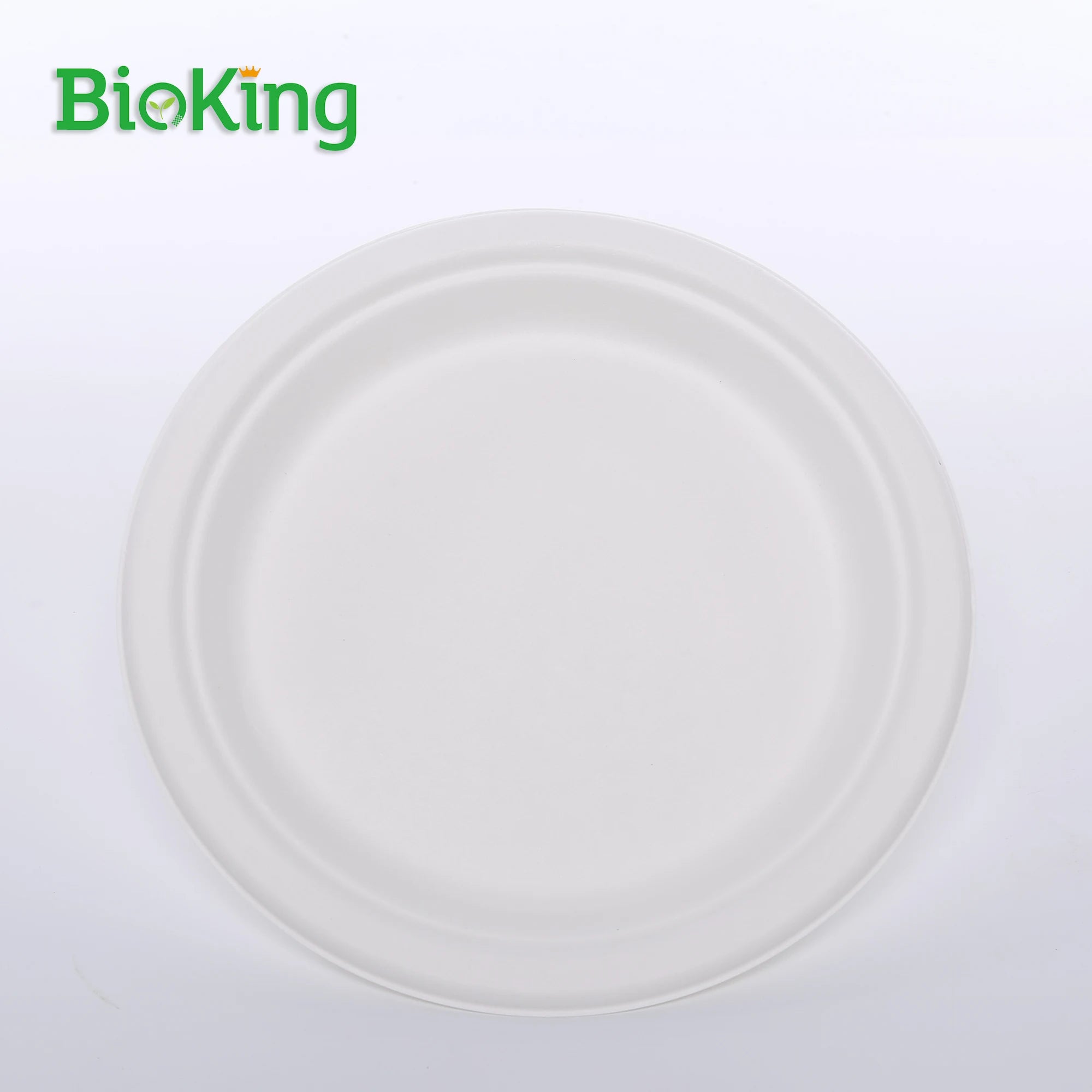 BioKing Hot Selling Sugarcane Bagasse Plate Equipment Custom Disposable Tableware Different Shapes for Food Packaging Camping